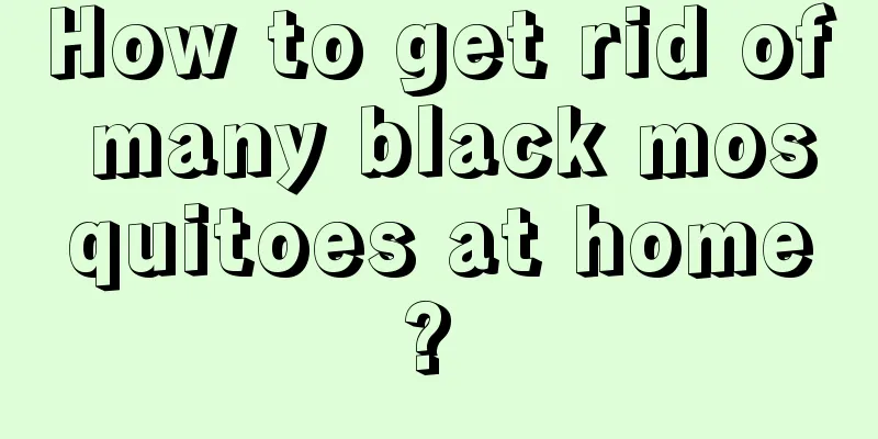 How to get rid of many black mosquitoes at home? 