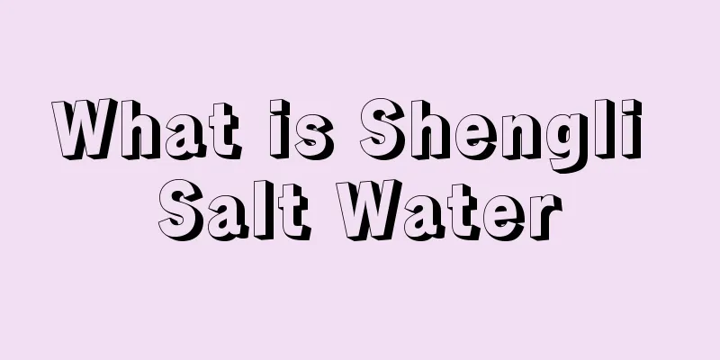 What is Shengli Salt Water