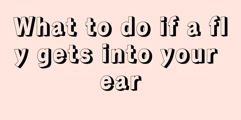 What to do if a fly gets into your ear