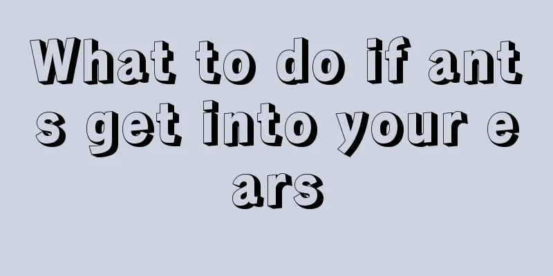 What to do if ants get into your ears