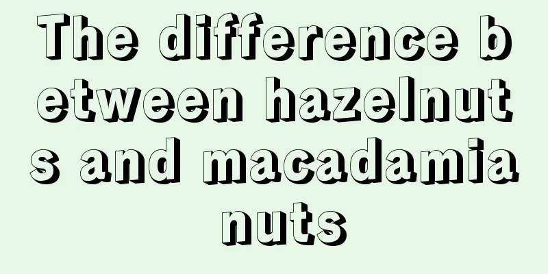 The difference between hazelnuts and macadamia nuts