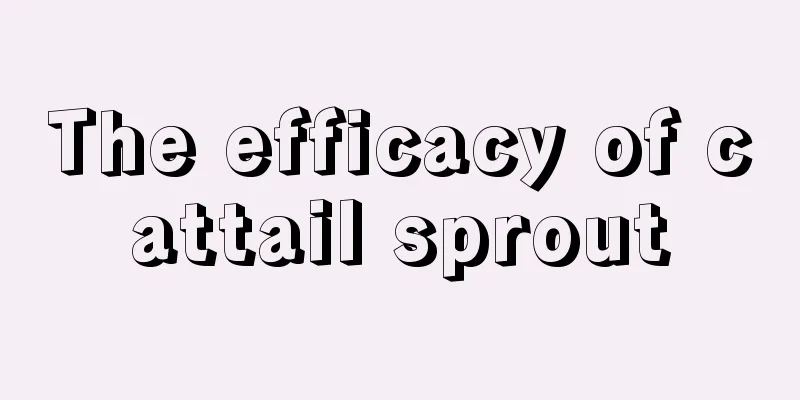 The efficacy of cattail sprout
