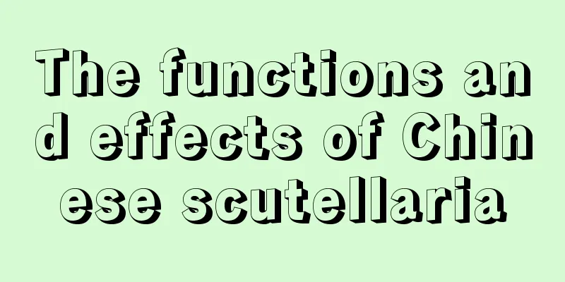 The functions and effects of Chinese scutellaria