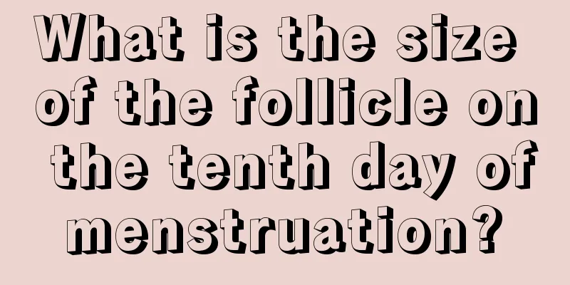 What is the size of the follicle on the tenth day of menstruation? 