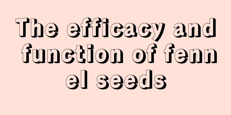 The efficacy and function of fennel seeds