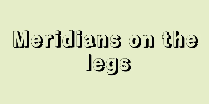 Meridians on the legs