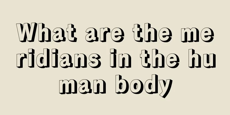What are the meridians in the human body