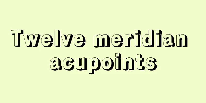 Twelve meridian acupoints
