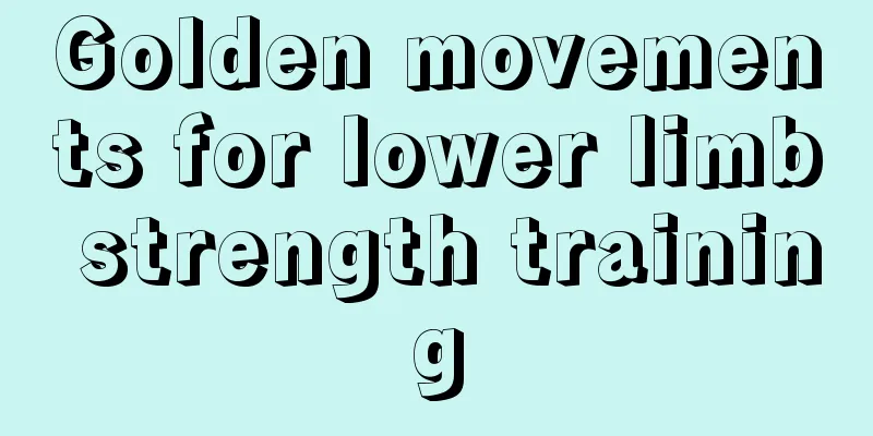 Golden movements for lower limb strength training