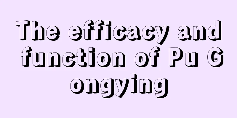 The efficacy and function of Pu Gongying
