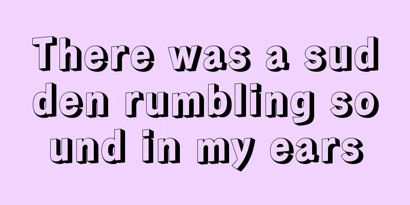 There was a sudden rumbling sound in my ears