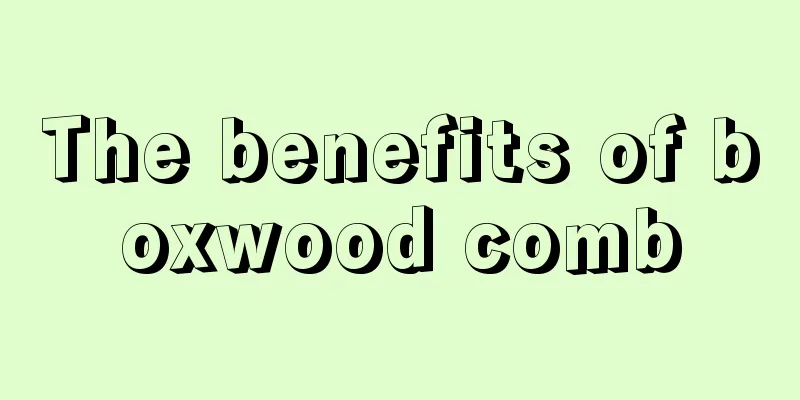 The benefits of boxwood comb