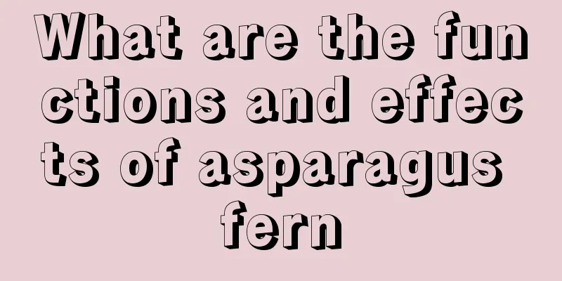What are the functions and effects of asparagus fern