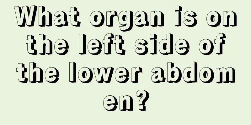 What organ is on the left side of the lower abdomen?
