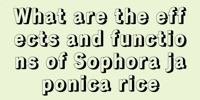 What are the effects and functions of Sophora japonica rice