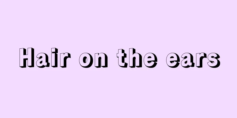 Hair on the ears