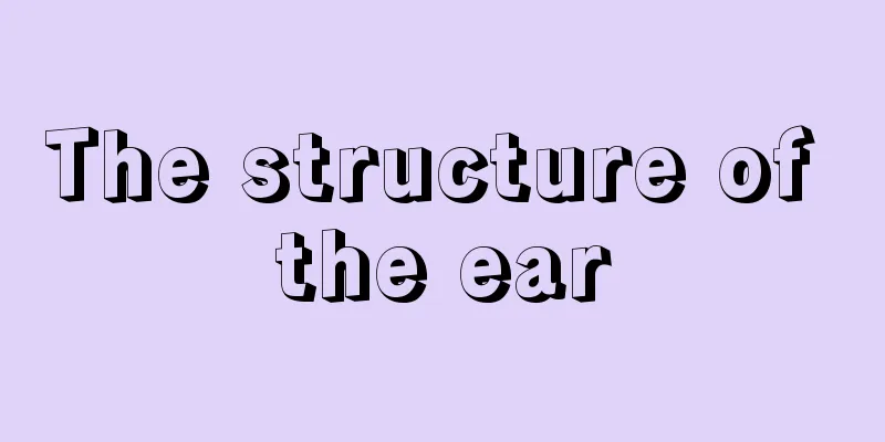 The structure of the ear