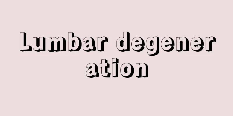 Lumbar degeneration