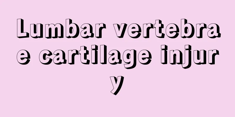 Lumbar vertebrae cartilage injury