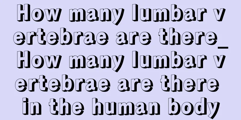 How many lumbar vertebrae are there_How many lumbar vertebrae are there in the human body