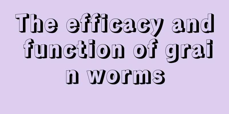 The efficacy and function of grain worms