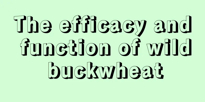 The efficacy and function of wild buckwheat