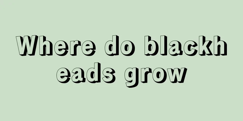 Where do blackheads grow