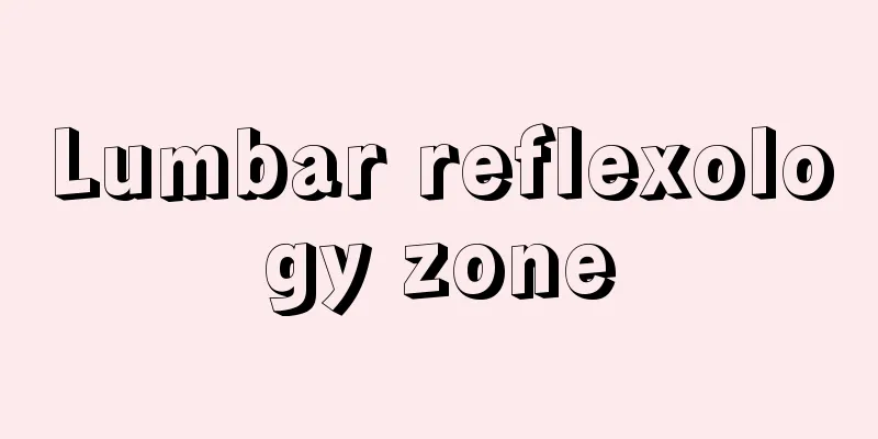 Lumbar reflexology zone