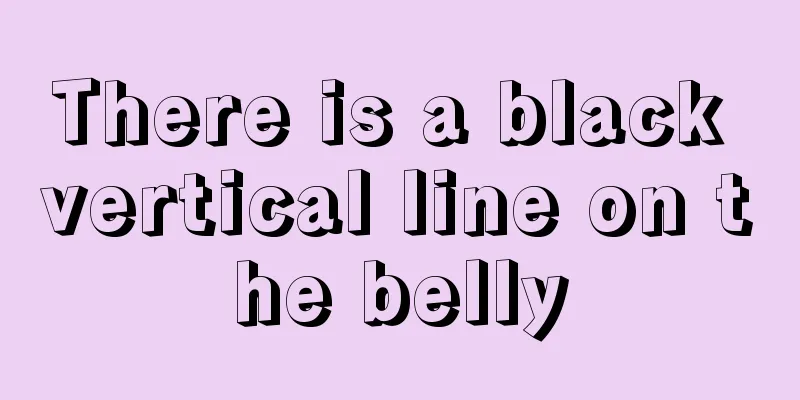 There is a black vertical line on the belly