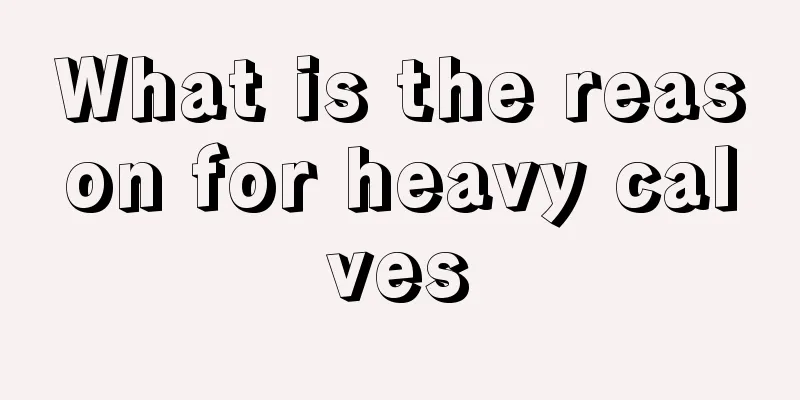 What is the reason for heavy calves