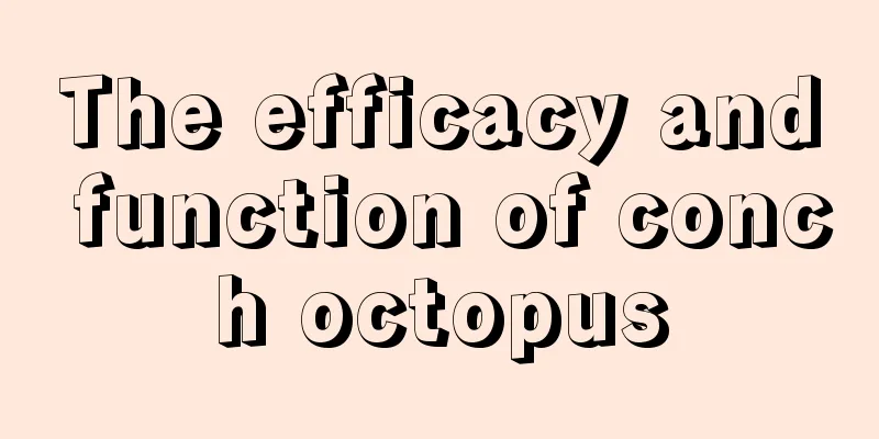 The efficacy and function of conch octopus