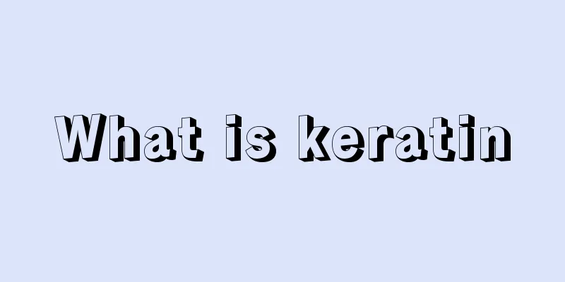 What is keratin