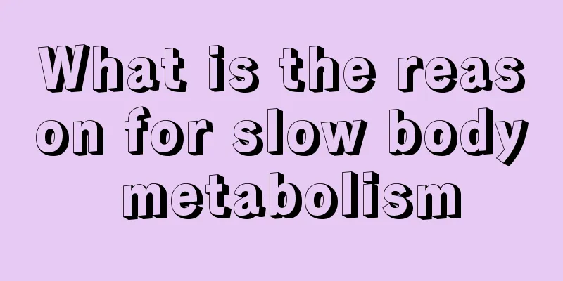 What is the reason for slow body metabolism