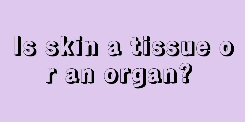 Is skin a tissue or an organ? 