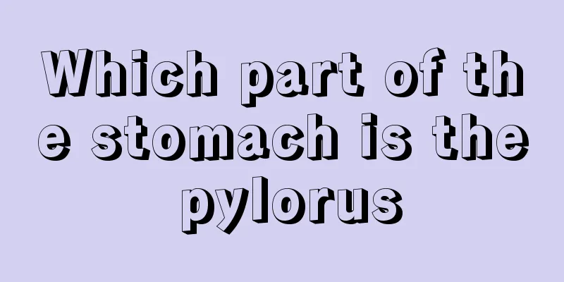 Which part of the stomach is the pylorus