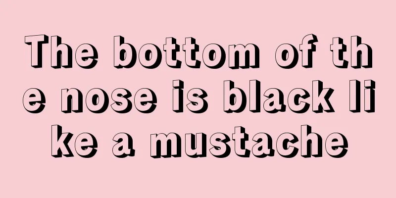 The bottom of the nose is black like a mustache