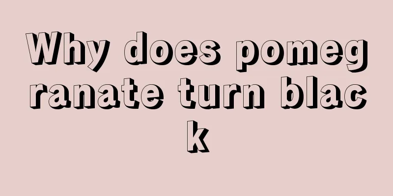 Why does pomegranate turn black