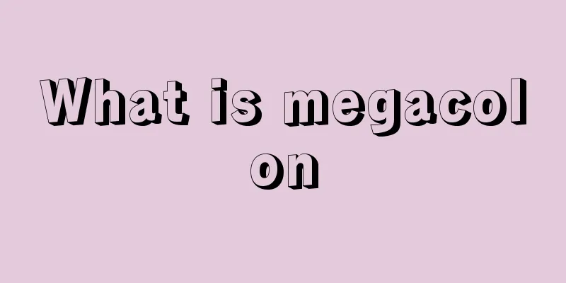What is megacolon