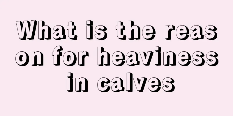What is the reason for heaviness in calves
