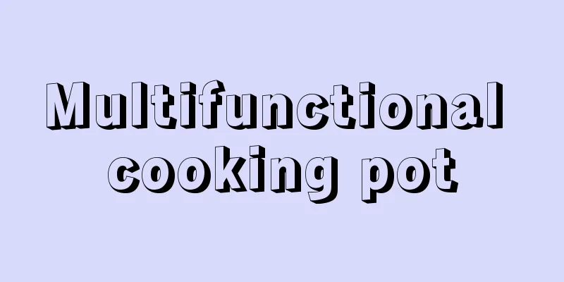 Multifunctional cooking pot