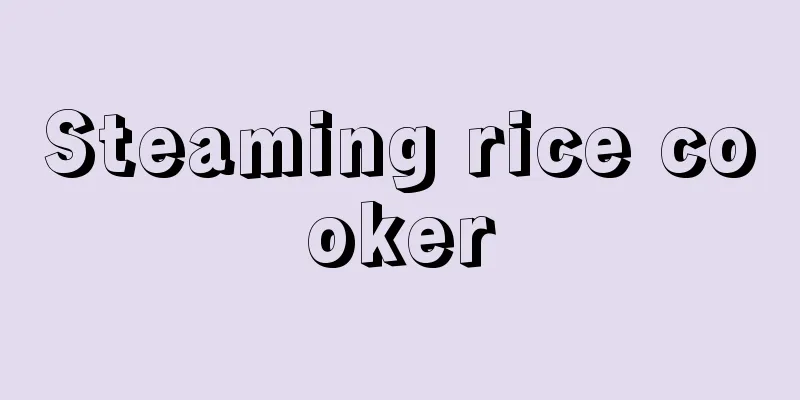 Steaming rice cooker