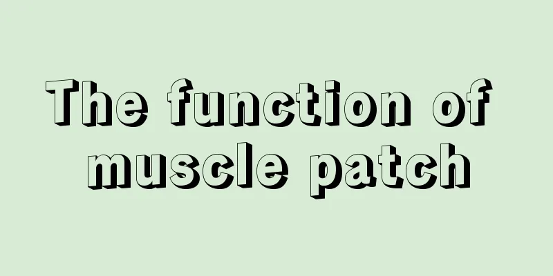 The function of muscle patch