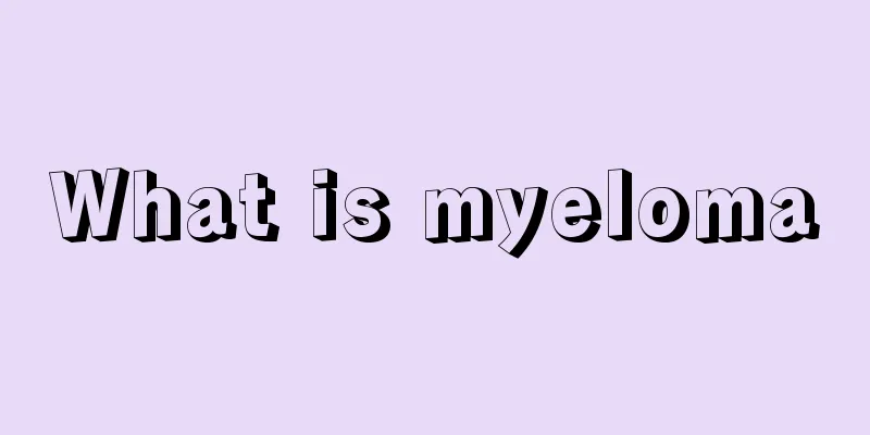 What is myeloma