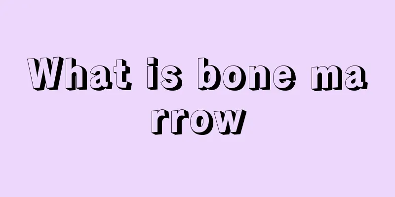 What is bone marrow