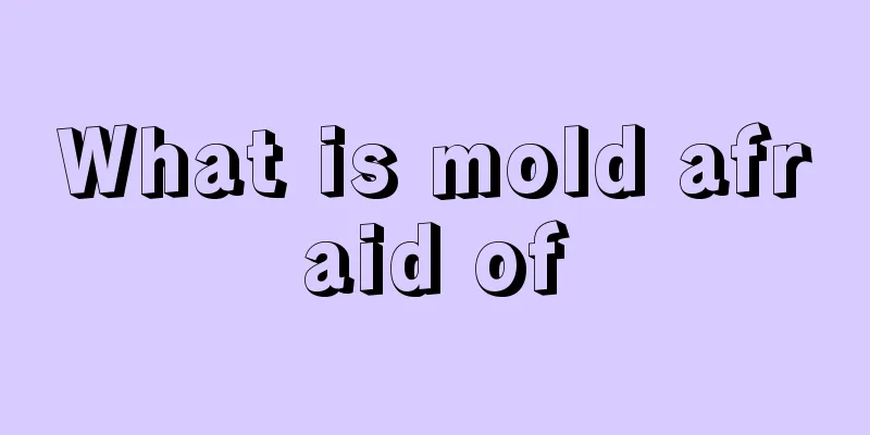 What is mold afraid of