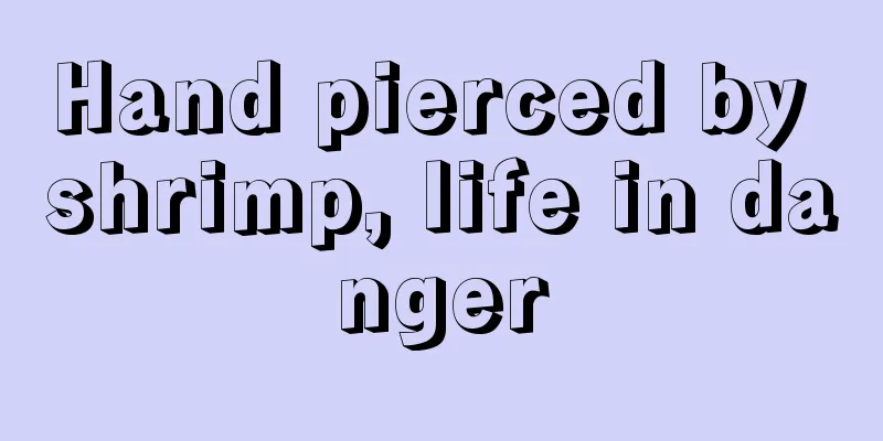 Hand pierced by shrimp, life in danger