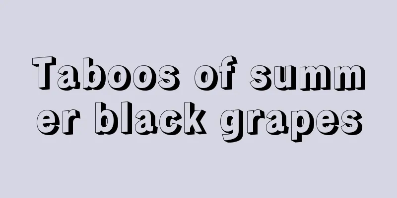 Taboos of summer black grapes