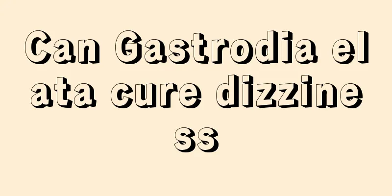 Can Gastrodia elata cure dizziness