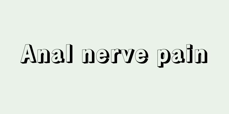 Anal nerve pain