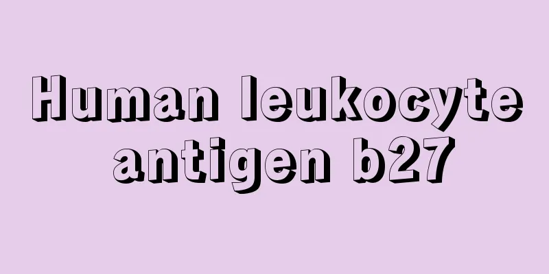 Human leukocyte antigen b27